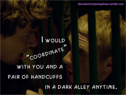 &ldquo;I would &lsquo;coordinate&rsquo; with you and a pair of handcuffs in a dark alley anytime.&rdquo;