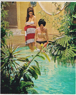  Jessica St. George and Terri Kimball, Playboy, January 1966, Pool Party 