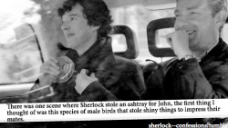 cmcross:  sherlock—confessions:  submitted by aweirdowithacamera