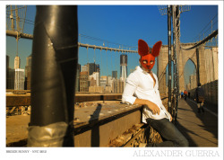  Bridge Bunny - NYC 2012 Alexander Guerra 