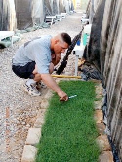  Here is a soldier in Iraq , stationed in a big sand box.  He asked his wife to send him dirt ( U.S. soil), fertilizer, and some grass seed so that he can have the sweet aroma, and feel the grass grow beneath his feet. When the men of the squadron have