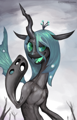 doomchan:  a quick pic of Chrysalis  So awesome. First pic this morning *just got home, now checking tumblr* probably many more waiting!