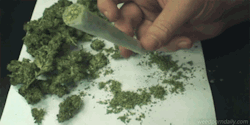 weedporndaily:  gimme
