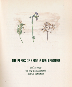 bevlykatz-blog:  The Perks of Being a Wallflower Minimalist Poster 