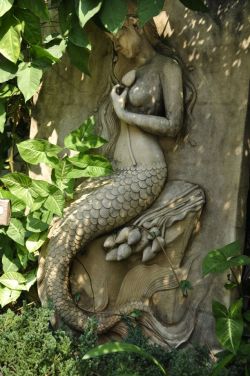gelinapit:  miamou:” Marble mermaid” by miamou Chiang Mai   Lovely 🌿🐚✨