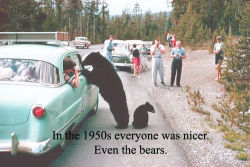 plis-theres-no-usernames-left: milesjai:    In 1950s people were nicer to bears than poc. 