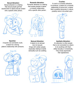 asexuology: aceadvice:  secondlina:  A comic about the different types of attraction one might feel. I saw these descriptions floating around on tumblr and felt compelled to add visuals. They are from a website about asexuality. Although, I think people