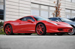 Exclusive-Pleasure:  All Red  Great Color Choice. Follow Cars,Women,Weed And Other