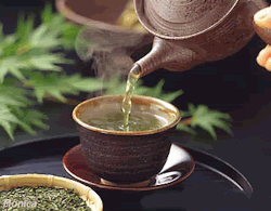  16 HERBAL TEAS with Health facts to put