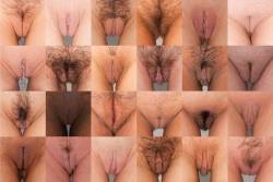 Take a look, maybe yours looks like one of them, maybe it doesn&rsquo;t. That&rsquo;s because there are more than 24 different looking types of vulva in the world.