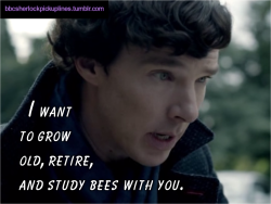 &ldquo;I want to grow old, retire, and study bees with you.&rdquo;