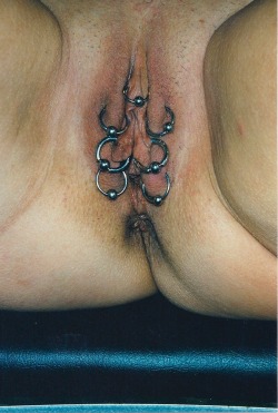 pussymodsgalore  She has a HCH piercing, four outer labia piercings, and two inner labia piercings, all with rings. 