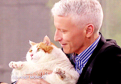 stfuconservatives:  kaleidostrobe:  Anderson Cooper gif: http://lipgallagher.tumblr.com/ I can’t find the proper credit for the other two gifs. If anyone knows, let me know! :)  I was looking for gifs from last night’s shows and found this triptych