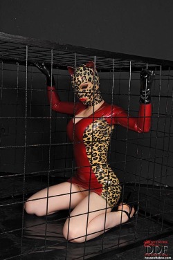 Girlsinrubber:  Latex Lucy Kinky Caged Latex Kitty 