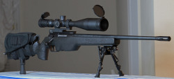 Weaponzone:  Sig Ssg 3000 With Nightforce Nxs 5.5-22X56Mmcredit : Jdguerra 