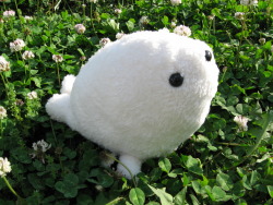 petiteplush:  My baby Seal prototype created a while back, I plan to start selling these soon after I work out a couple of bugs with the pattern! This was inspired by a sketch and some help from Steffy! ♥  SCREAM
