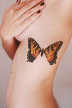yelyahwilliams:  This is not me. But if I was ever gonna get a butterfly tattoo this is exactly what it would look like. 