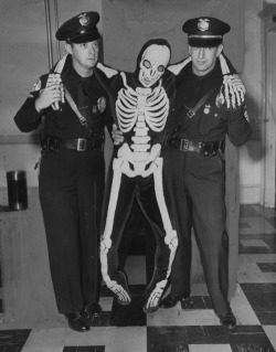 butterflycabinet:  Drunk skeleton, 1950 