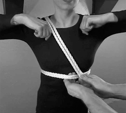 serendipityslave:  demo how to make a shabari harness