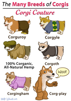 blogwell:  See more corginteresting comics at Loldwell.com! And if corgi puns are your thing, then you should check out THIS NEW THORGI SHIRT I made for Level Up Studios! 