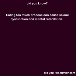did-you-kno:  Source  Broccoli :c