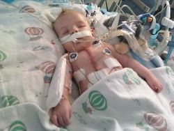 blusollyjd:  booletsandblossoms:  This little one’s name is Karson. He’s six months old and was born with a heart defect. He’s already gone through open heart surgery, and will likely need more surgeries, procedures, and tests as he gets older.