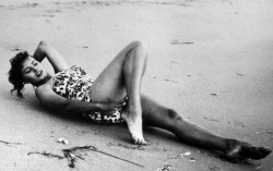 matastrangehari:  Sophia Loren 