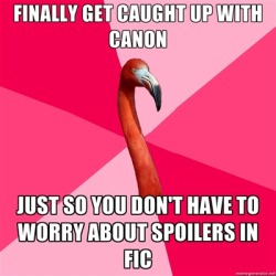 fuckyeahfanficflamingo:  [FINALLY GET CAUGHT UP WITH CANON (Fanfic Flamingo) JUST SO YOU DON’T HAVE TO WORRY ABOUT SPOILERS IN FIC]  Me and Supernatural right now.