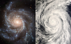 Ikenbot:  Logarithmic Spirals Image Credit: M101 - Nasa, Esa, Cfht, Noao; Typhoon