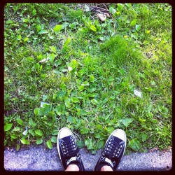 Converse at the park. #sneakers #Converse #outside #instaphoto  (Taken with instagram)
