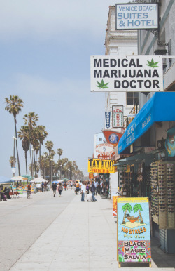 justanotherstonerblog:  heavylikeanchors:  i like living in california  yeah.. exactly so why would you go there? i would go to a little more legit doctor. cause dispensaries are selective especially now a days of which doctors and doctors patients they