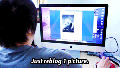professionalvillageidiot:  THIS SUMS UP EVERYONE ON TUMBLR EVER. EVER. 