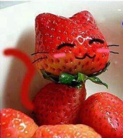 kevsdoublerainbow:  Strawberries :D