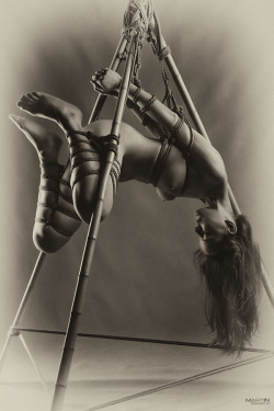 ffncollector:  beautifulfetish:  Found on Aestheticism Shibari: A blog after my own heart by someone with a very good eye for artistic fetish.  Quality over quantity.  Go and look!  Splendid inverted suspension :) 