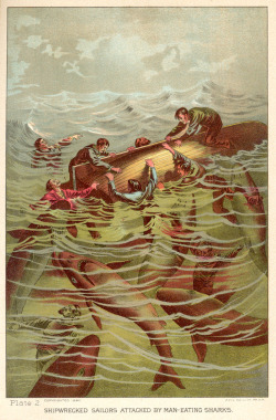 willigula:  “Shipwrecked sailors attacked by man-eating sharks” - illustration from Sea and Land: An Illustrated History by JW Buel, 1887 