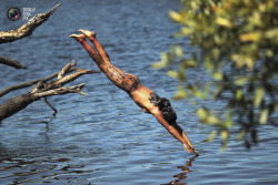 wantsee:  A Yawalapiti girl dives into the Xingu River in the Xingu National Park. UESLEI MARCELINO/REUTERS 
