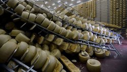 Millions in Parmesan Cheese Destroyed in