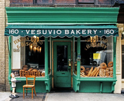 STORE FRONT- The Disappearing Face of New York  - Ph.  James e Karla Murray