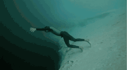 cravingly:  josiephin:   k-kipper:   btw-idk:     This is what terrifies me about the ocean.     the few times I’ve gone snorkelling this is the most intensely scary but amazing thing about it, the bit where the reef ends and it suddenly just drops