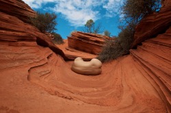 Brookelabrie:  The Lovely Kat South Coyote Buttes © Bl  I&Amp;Rsquo;Ve Been Holding