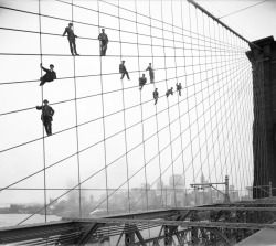New York, Brooklyn Bridge, 1914.