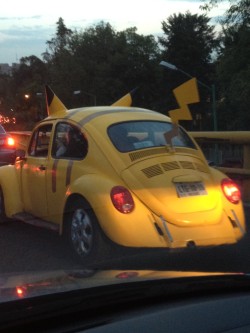 the-absolute-best-posts:  karkachu: My Dad found this while driving and spent twenty minutes chasing it around just to take a picture of it to show me.  Please follow the Twitter account