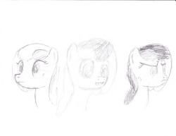 After looking at that pic I find it hard to draw.  I need to get some of the basics down.  The basics of pony heads.
