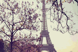 humorhistorico:  Pensar que cuando se construyo esta torre, todo París se oponía.