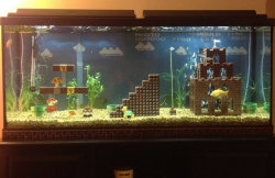 otlgaming:  MARIO, YOUR PRINCESS IS IN ANOTHER AQUARIUM?!?! Reddittor jennyleighb posted video and these photos of her roomate’s 55 gallon aquarium that’s been customized with a LEGO Super Mario Bros. level.  Here’s a link to more photos showing
