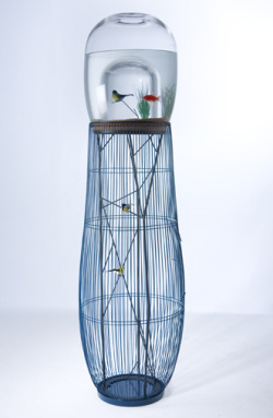 deadboyslikeme:  rickz0r:  sharksayshi:  Duplex is an amazing hybrid of bird cage and aquarium created by Constance Guisset. It favors an improbable encounter between a bird and a fish, living together in harmony. The idea is simply genius and Duplex