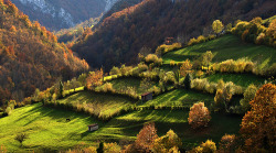 bluepueblo:  Mountain Meadows, Asturias, Spain photo via chloro 