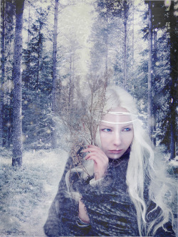 solunastella:  Skadi - Winter Goddess of the North Skadi is the Viking Goddess of winter. Her name is said to mean shadow or shade. She is the Queen of the shades. She is a huntress, a dark magician, a giantess Goddess, ruling especially over mountains,