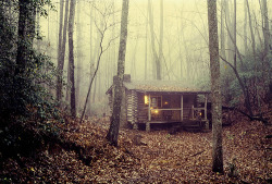 ostwind:  musicallymaniacal:  looks like where cabin fever was filmed O_O  I wish I had a little getaway cabin like this!  No one would ever see me again! :) 