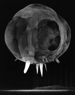 Operation Tumbler Snapper nuclear test, Nevada Proving Ground, 1952. The conical projections seen here are guy wires or ropes extending from the elevated bomb platform vaporizing during the first instant of the explosion.